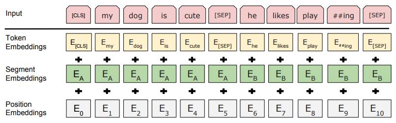 BERT input representation