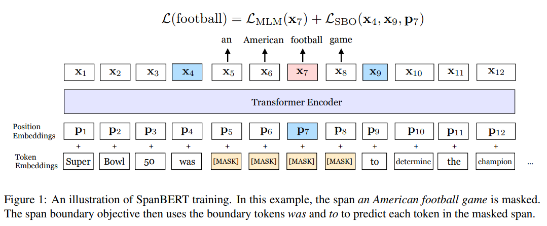 SpanBERT model